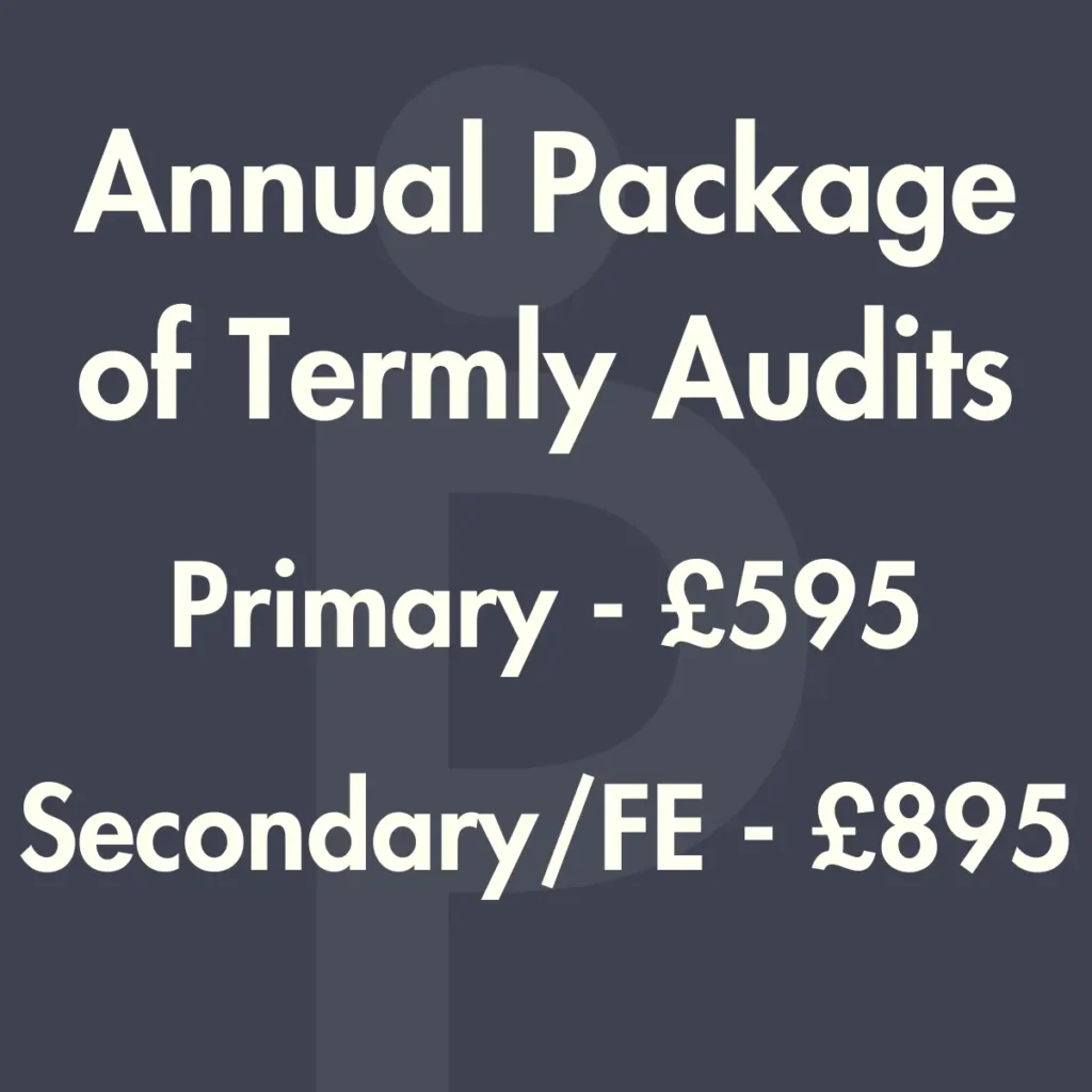 Annual Package Website Audit Price