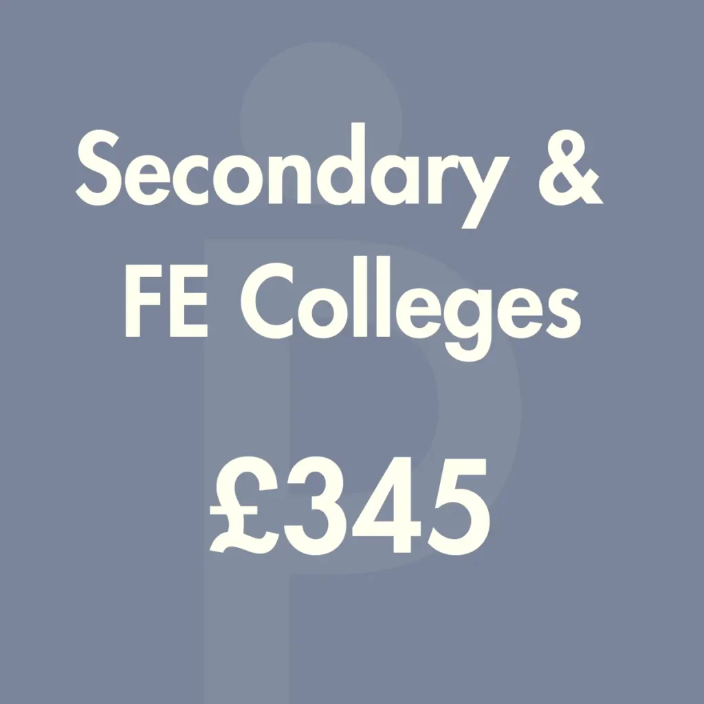 Secondary and FE College Website Audit Price